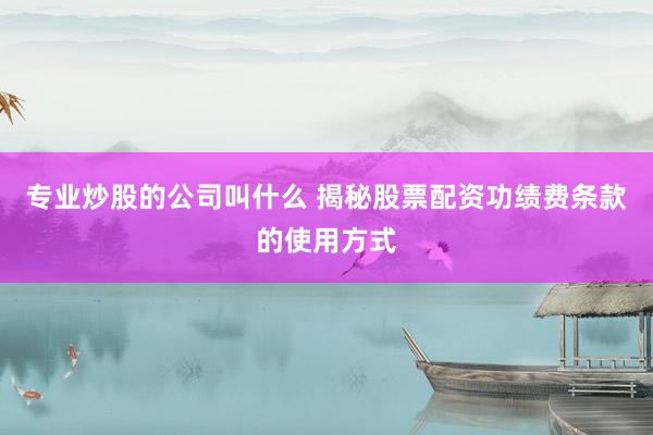 专业炒股的公司叫什么 揭秘股票配资功绩费条款的使用方式