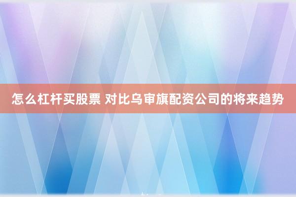 怎么杠杆买股票 对比乌审旗配资公司的将来趋势