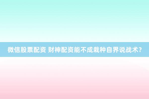 微信股票配资 财神配资能不成栽种自界说战术？