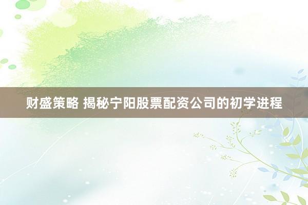 财盛策略 揭秘宁阳股票配资公司的初学进程