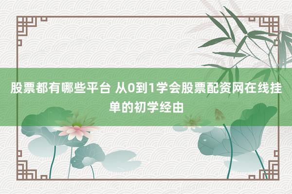 股票都有哪些平台 从0到1学会股票配资网在线挂单的初学经由