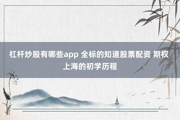 杠杆炒股有哪些app 全标的知道股票配资 期权 上海的初学历程