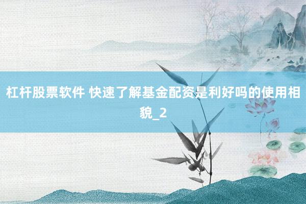 杠杆股票软件 快速了解基金配资是利好吗的使用相貌_2