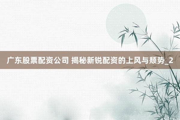 广东股票配资公司 揭秘新锐配资的上风与颓势_2