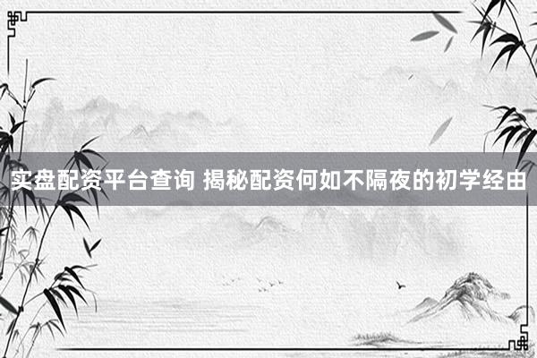 实盘配资平台查询 揭秘配资何如不隔夜的初学经由