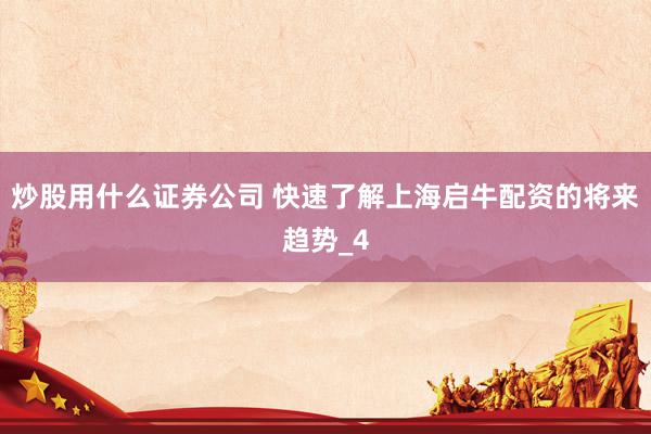 炒股用什么证券公司 快速了解上海启牛配资的将来趋势_4