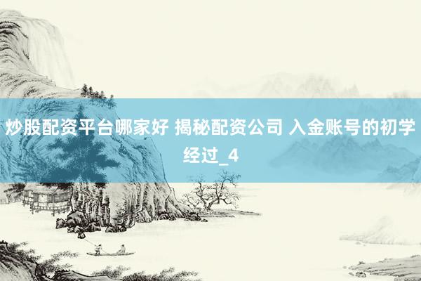 炒股配资平台哪家好 揭秘配资公司 入金账号的初学经过_4