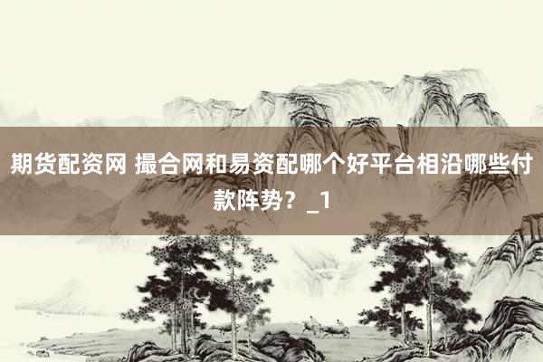 期货配资网 撮合网和易资配哪个好平台相沿哪些付款阵势？_1