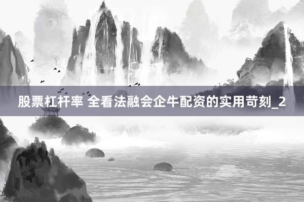 股票杠杆率 全看法融会企牛配资的实用苛刻_2