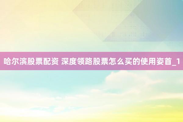 哈尔滨股票配资 深度领路股票怎么买的使用姿首_1
