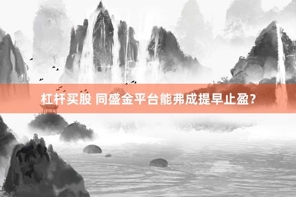 杠杆买股 同盛金平台能弗成提早止盈？