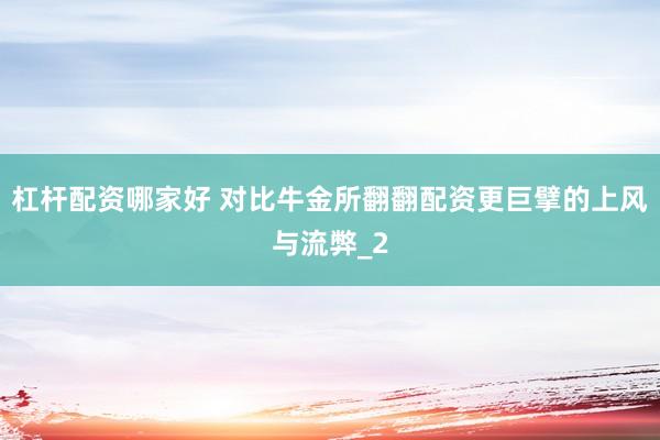 杠杆配资哪家好 对比牛金所翻翻配资更巨擘的上风与流弊_2