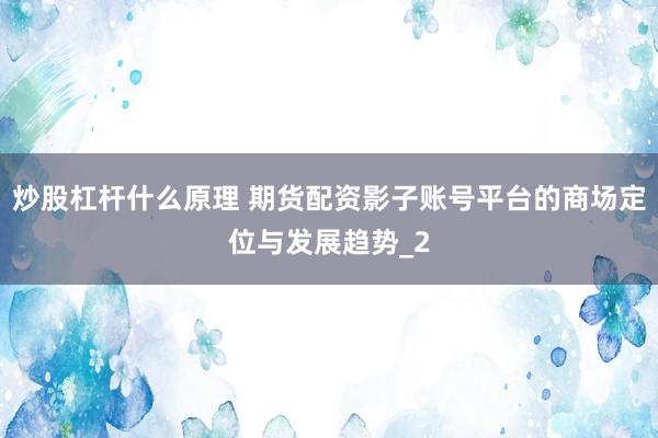 炒股杠杆什么原理 期货配资影子账号平台的商场定位与发展趋势_2