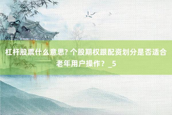杠杆股票什么意思? 个股期权跟配资划分是否适合老年用户操作？_5