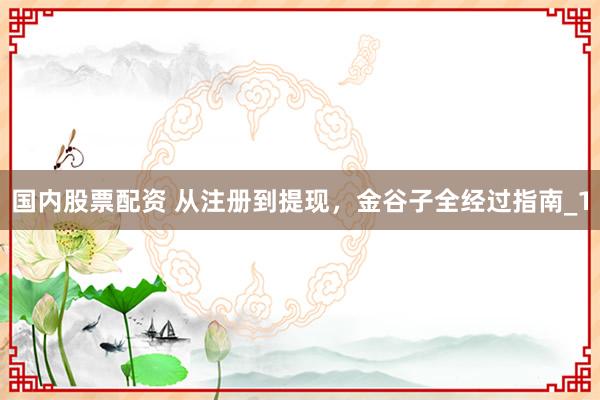 国内股票配资 从注册到提现，金谷子全经过指南_1