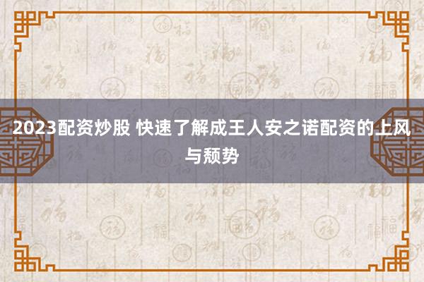 2023配资炒股 快速了解成王人安之诺配资的上风与颓势