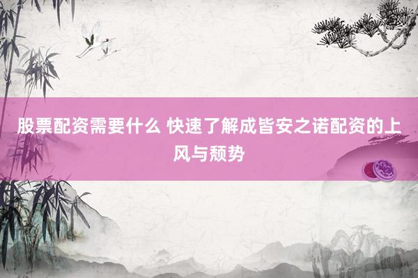 股票配资需要什么 快速了解成皆安之诺配资的上风与颓势