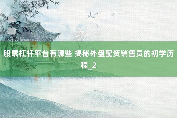 股票杠杆平台有哪些 揭秘外盘配资销售员的初学历程_2