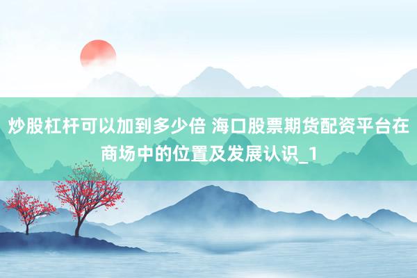 炒股杠杆可以加到多少倍 海口股票期货配资平台在商场中的位置及发展认识_1