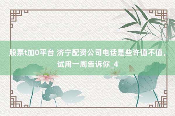 股票t加0平台 济宁配资公司电话是些许值不值，试用一周告诉你_4