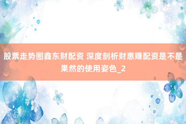 股票走势图鑫东财配资 深度剖析财惠赚配资是不是果然的使用姿色_2