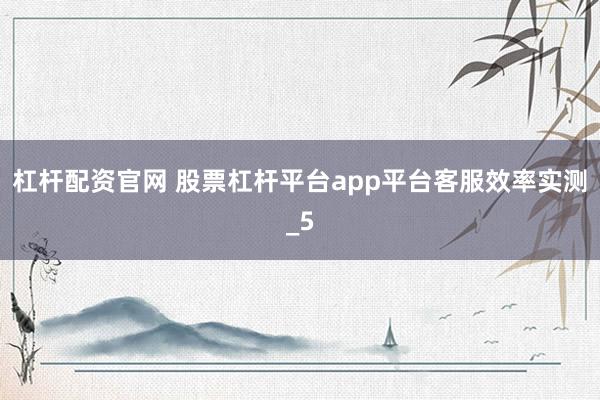 杠杆配资官网 股票杠杆平台app平台客服效率实测_5