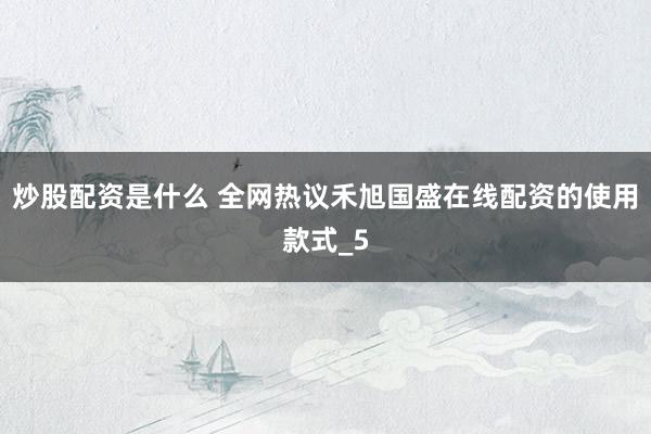 炒股配资是什么 全网热议禾旭国盛在线配资的使用款式_5